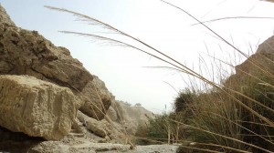 Біля Мертвого моря