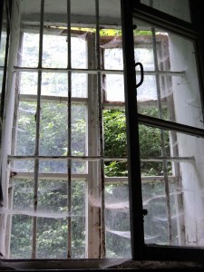 вікно в Добромильському-монастирі